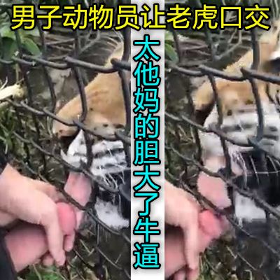 外國狠人讓老虎給他口交牛逼