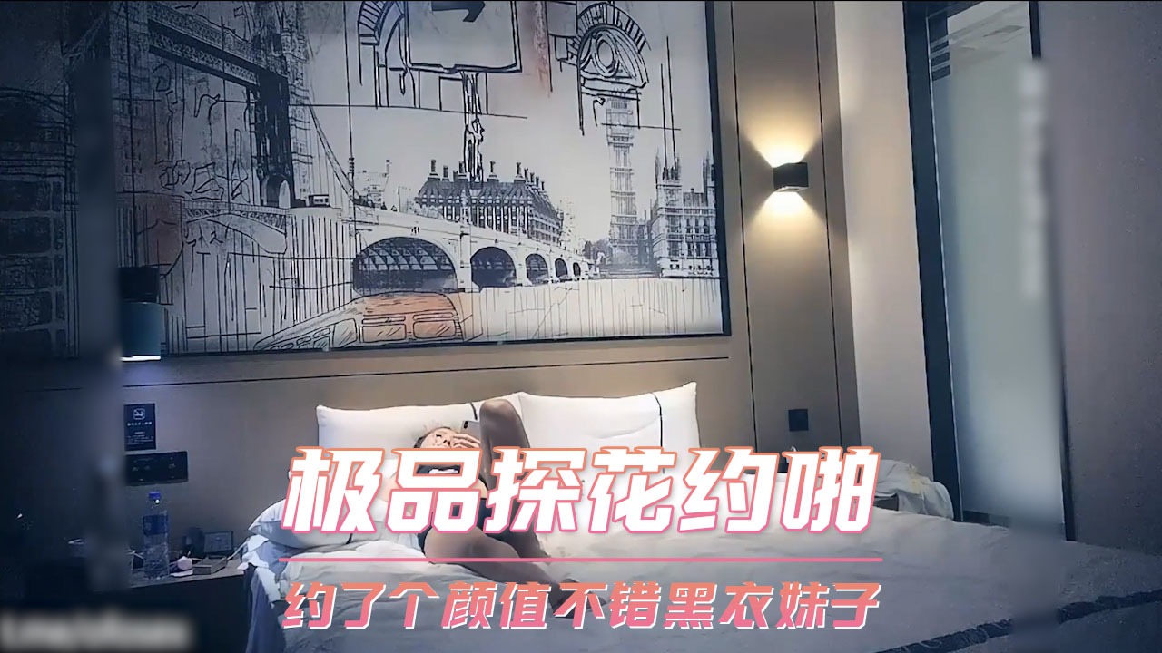 极品探花约啪-约了个颜值不错黑衣妹子